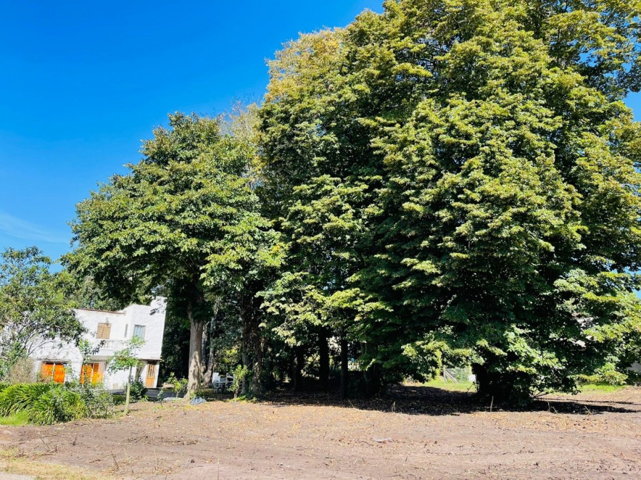TERRENO EN VENTA (2)
