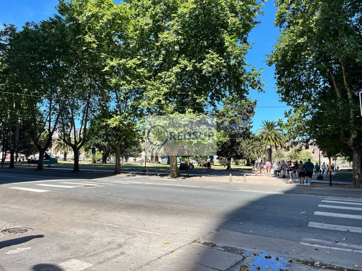 AMBIENTE EN PLAZA COLON